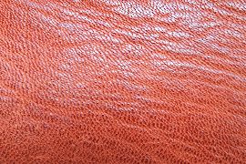 矢島美穂子のGALERIE6のルリユールの材料の紹介「革の種類・色」いろいろMaroquin 6