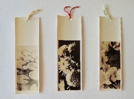 矢島美穂子のGALERIE５『栞』コレクション5＜三枚の植物のモノクロ写真＞の『栞』