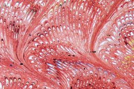 矢島美穂子のGALERIE6のルリユールの材料の紹介「装飾紙」のいろいろPalmettes＝ヤシの葉模様