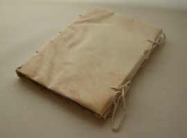 矢島美穂子のパッシュマン５４