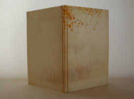 矢島美穂子のいろいろなルリユールスタイル作品パッシュマン５冊シリーズ４８