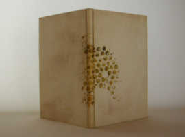 矢島美穂子のいろいろなルリユールスタイル作品パッシュマン５冊シリーズ４９