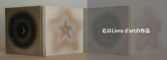 矢島美穂子の双子の本「Le palais de cristal」