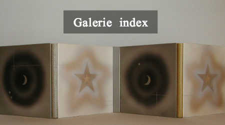 矢島美穂子の双子の本「Le palais de cristal」