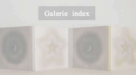 矢島美穂子の双子の本「Le palais de cristal」