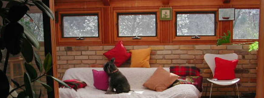 サンパのブログ「ボク、サンパです。」のイメージ写真