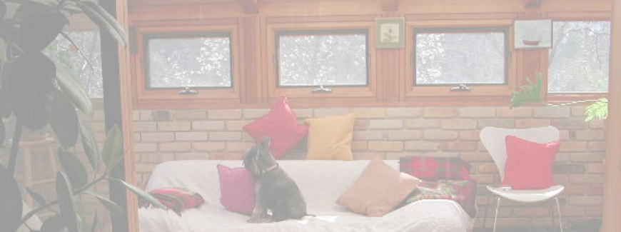 サンパのブログ「ボク、サンパです。」のイメージ写真