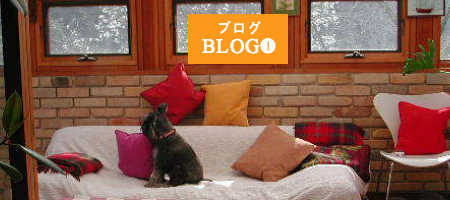 サンパのブログ「サンパの戯言」のイメージ写真