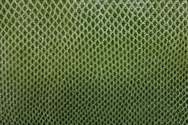 矢島美穂子のGALERIE6のルリユールの材料の紹介「ちょっと変わった革の種類・色」いろいろSerpent 2