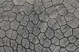 矢島美穂子のGALERIE6のルリユールの材料の紹介「ちょっと変わった革の種類・色」いろいろViscère 2