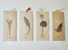 矢島美穂子のGALERIE5『栞』コレクション１５＜高山植物標本・第2輯＞