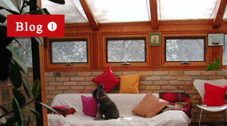 サンパのブログ１「ボク、サンパです。」のイメージ写真