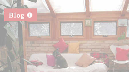 サンパのブログ１「ボク、サンパです。」のイメージ写真