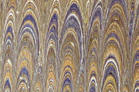 矢島美穂子のGALERIE6のルリユールの材料の紹介「装飾紙」のいろいろPeigné=櫛目模様