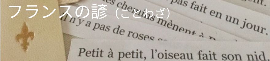 矢島美穂子のGALERIE5のルリユールの材料を使って＜紙の本＞のために『栞』をつくるフランスのことわざの＜革SHIORI＞のイメージ写真